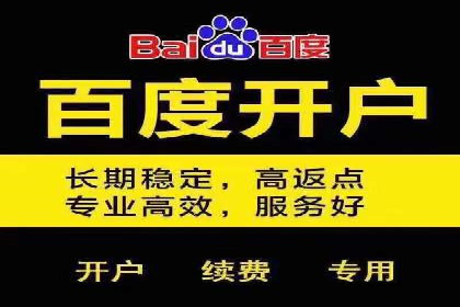 百度平台广告投放策略及成功案例分享